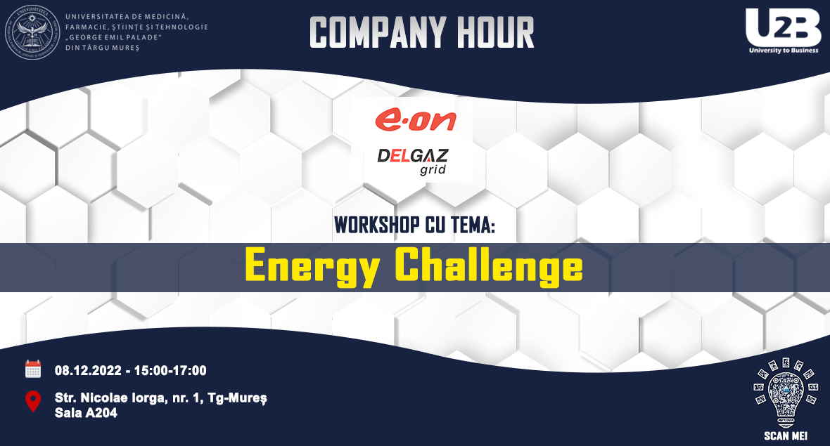 Company Hour: E-on Delgaz Grid (WS2)